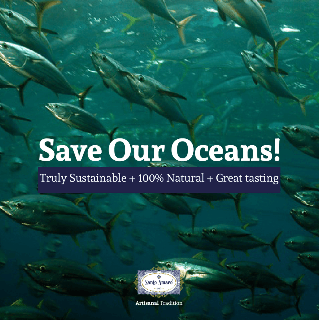 Save Our Oceans Pole and Line Tuna Fishing Santo Amaro Truly Sustainable Tuna Fishing